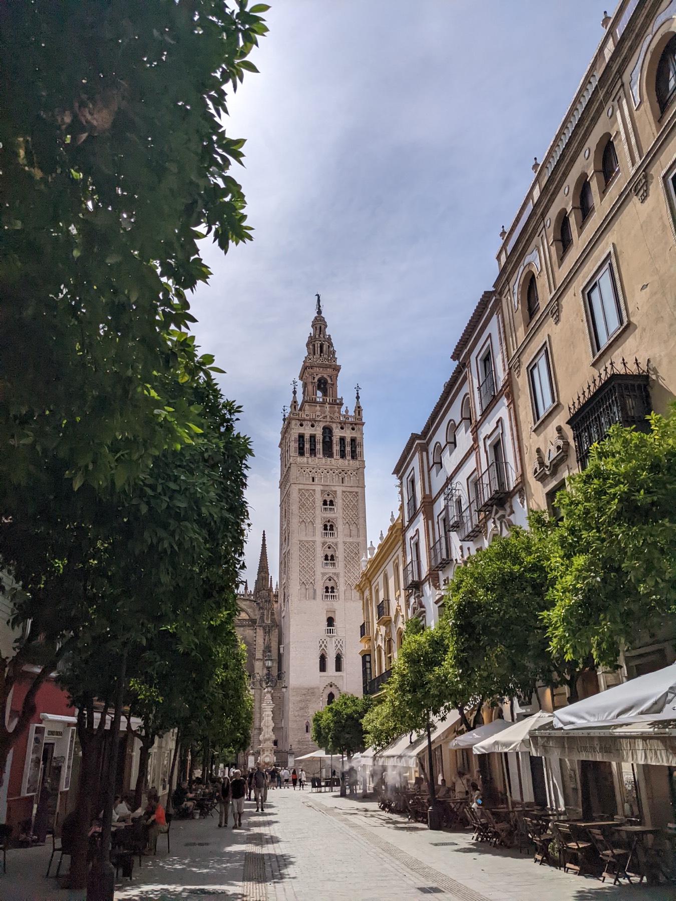 Universidad de Sevilla — 1
